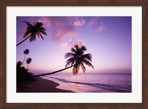 Framed Palm Trees at Sunset, Coconut Grove Beach at Cade&#39;s Bay, Nevis, Caribbean Print