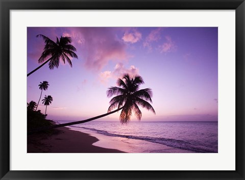 Framed Palm Trees at Sunset, Coconut Grove Beach at Cade&#39;s Bay, Nevis, Caribbean Print