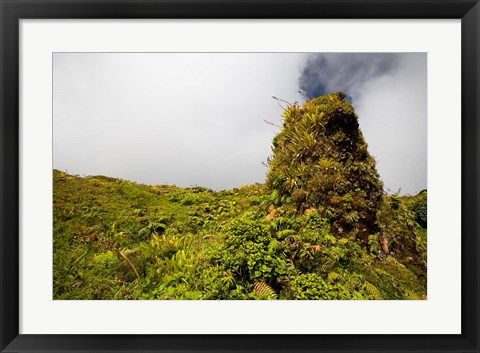 Framed Rim of Summit Crater on Mt Pelee, Martinique, French Antilles Print