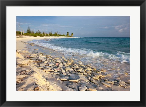 Framed Waves, Coral, Beach, Punta Arena, Mona, Puerto Rico Print