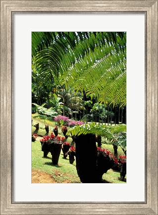 Framed Tropical Plants at the Pitons du Carbet, Martinique, Caribbean Print