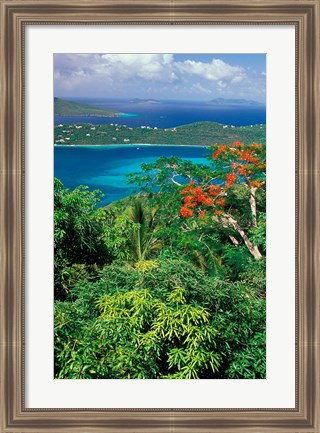 Framed Magens Bay, St Thomas, Caribbean Print