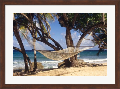 Framed Hammock tied between trees, North Shore beach, St Croix, US Virgin Islands Print