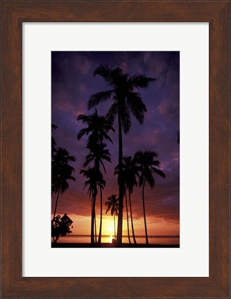 Framed Palm Trees at Sunset, Puerto Rico Print