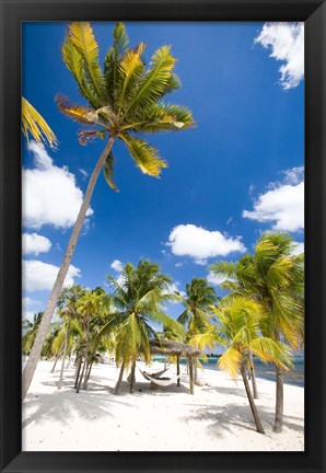 Framed Southern Cross Club, Little Cayman, Cayman Islands, Caribbean Print