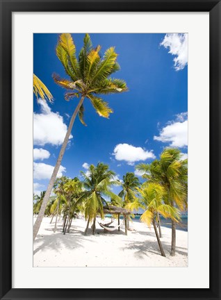 Framed Southern Cross Club, Little Cayman, Cayman Islands, Caribbean Print