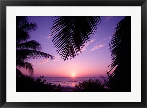 Framed Sunset, Cayman Brac, Cayman Islands, Caribbean Print