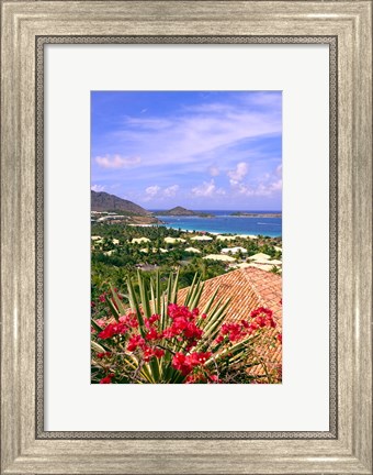 Framed Orient Bay and pink flowers, St Martin, Caribbean Print