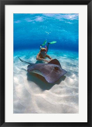 Framed Stingray City, Grand Cayman, Cayman Islands, Caribbean Print