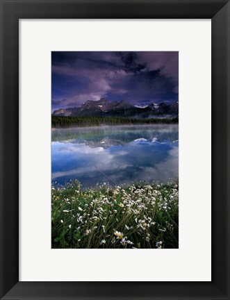 Framed Alberta, Banff National Park Lake Maligne wildflowers Print