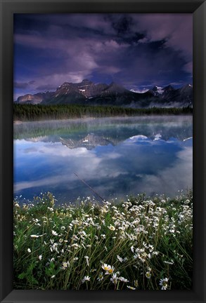 Framed Alberta, Banff National Park Lake Maligne wildflowers Print