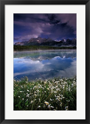 Framed Alberta, Banff National Park Lake Maligne wildflowers Print