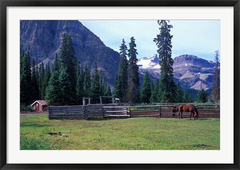 Framed Log Cabin, Horse and Corral, Banff National Park, Alberta, Canada Print