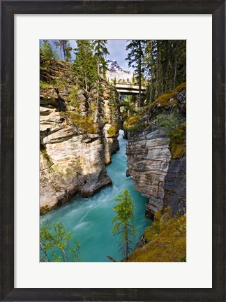 Framed Athabasca Falls, Jasper National Park, Alberta, Canada Print