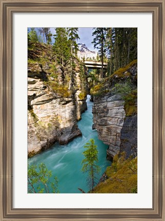 Framed Athabasca Falls, Jasper National Park, Alberta, Canada Print
