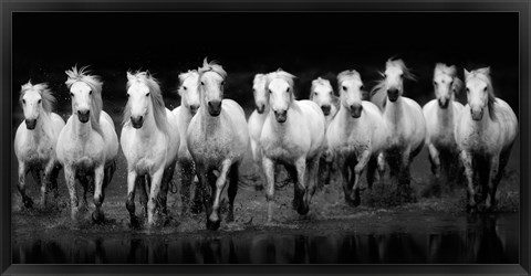 Framed In Flight - Horses Print