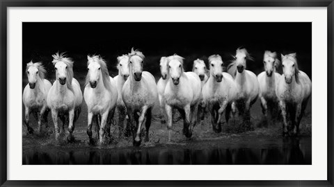 Framed In Flight - Horses Print