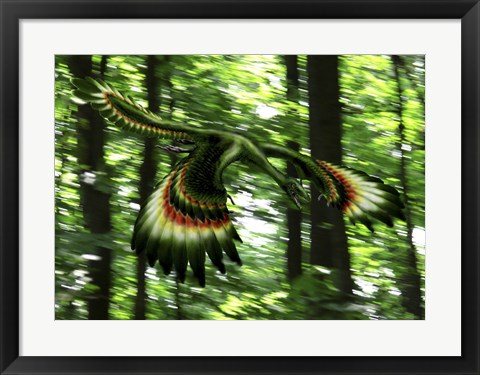 Framed Archaeopteryx flying through a forest Print