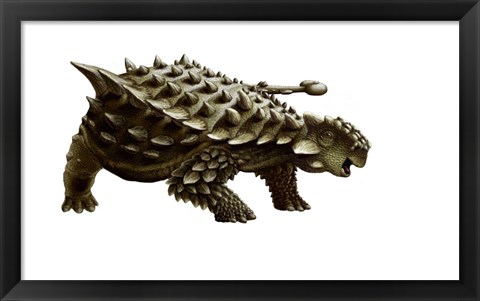 Framed armored Saichania ankylosaurid, white background Print