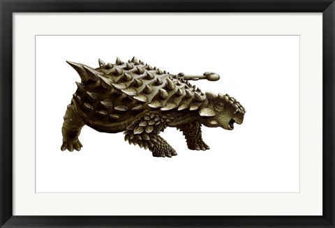 Framed armored Saichania ankylosaurid, white background Print