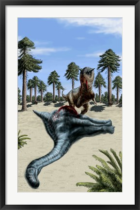 Framed Carnotaurus eating the flesh of a dead Chubutisaurus Print