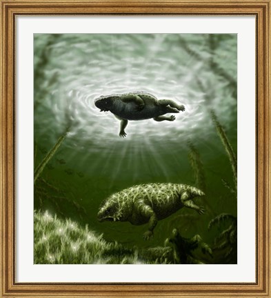 Framed Scutosaurus karpinskii in prehistoric waters Print