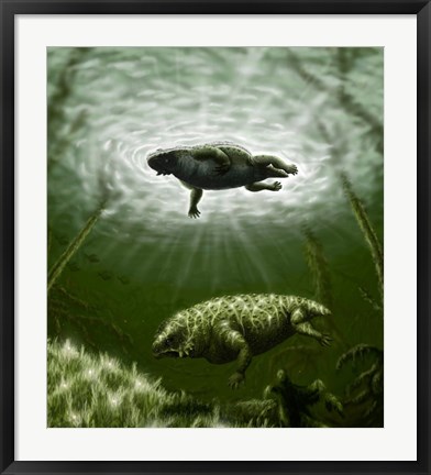 Framed Scutosaurus karpinskii in prehistoric waters Print