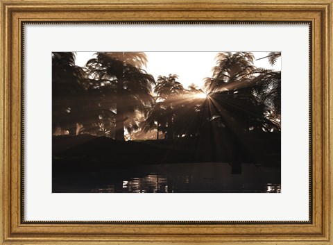 Framed Late Devonian sun sets behind a forest of Archaeopteris plants Print