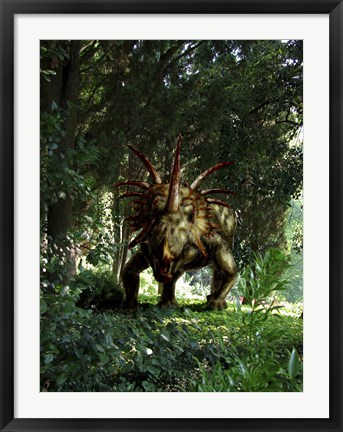 Framed Styracosaurus in a forest Print