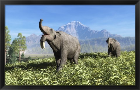 Framed Deinotherium traverse the rolling plains of what is today Europe Print