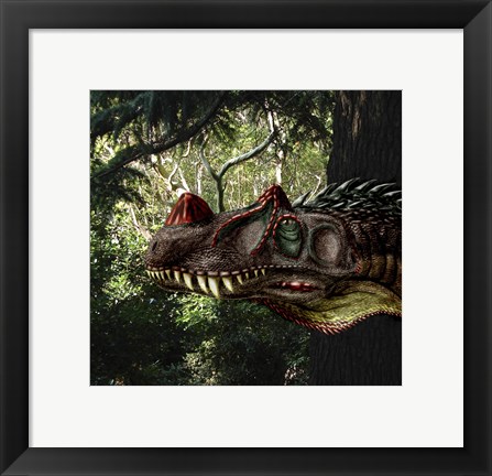 Framed Ceratosaurus magnicornis of the Late Jurassic Period Print