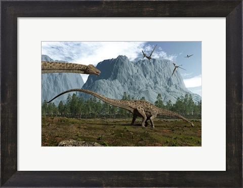 Framed Diplodocus Dinosaurs Graze While Pterodactyls Fly Overhead Print