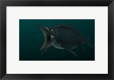 Framed Concept of the Suction Feeding Shastasaurus Eating Celphalopods Print