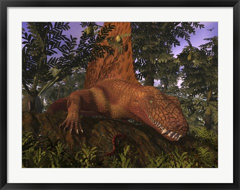 Framed Dimetrodon Amongst Alethopteris Ferns Print