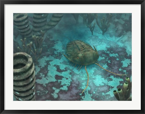 Framed Olenoides Trilobite Scurries across a Middle Cambrian Ocean Floor Print