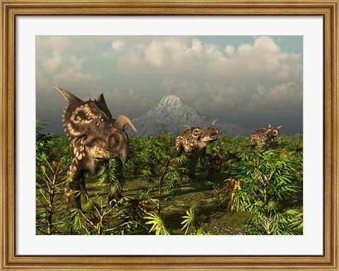 Framed Herd of Plant-Eating Einiosaurus Roam the Plains Print