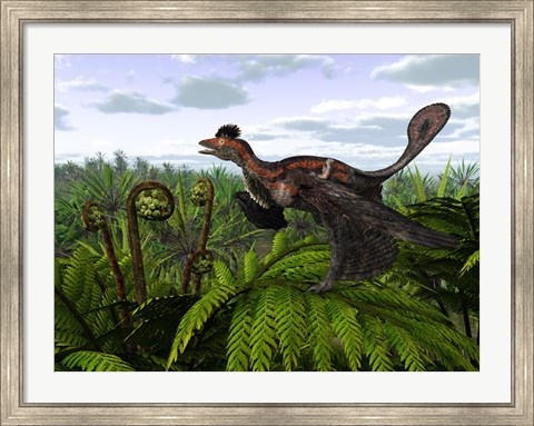 Framed Feathered Microraptor Perched atop a Tree Fern Print