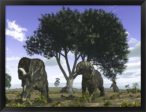 Framed Nedoceratops Graze Beneath a Giant Oak Tree Print