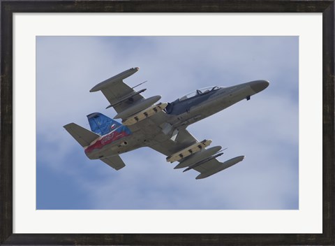 Framed Czech Air Force Aero L-159T Advanced Light Combat Aircraft Print