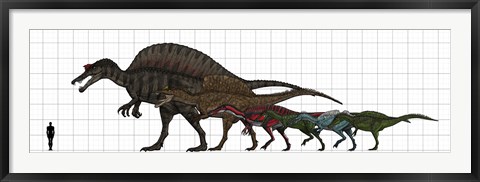 Framed Spinosauridae Size chart Print