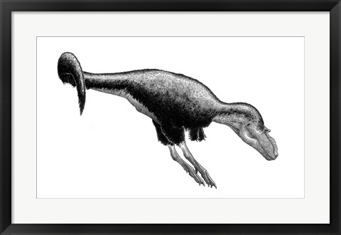 Framed Black Ink Drawing of Gorgosaurus Libratus Print