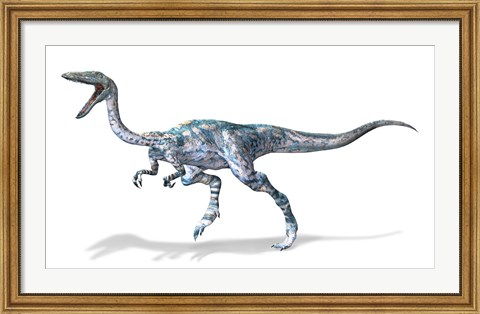 Framed 3D Rendering of a Coelophysis Rinosaur Print