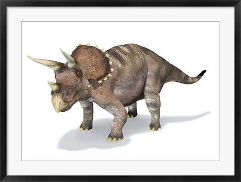 Framed 3D Rendering of a Triceratops Dinosaur Print