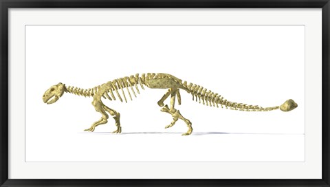 Framed 3D Rendering of an Ankylosaurus Dinosaur Skeleton Print