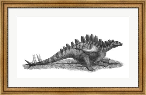 Framed Pencil Drawing of Gigantspinosaurus Sichuanensis Print