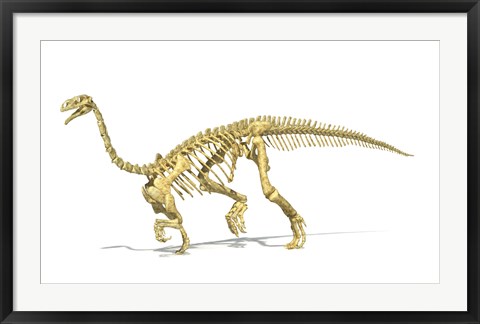 Framed 3D Rendering of a Plateosaurus dinosaur skeleton Print