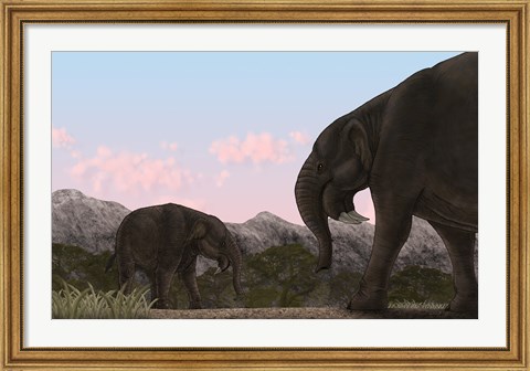 Framed Two Deinotherium, an Extinct Animal of the Miocene Epoch Print