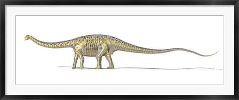 Framed 3D Rendering of a Diplodocus Dinosaur with Full Skeleton Superimposed Print