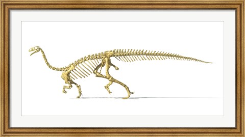 Framed 3D Rendering of a Plateosaurus Print