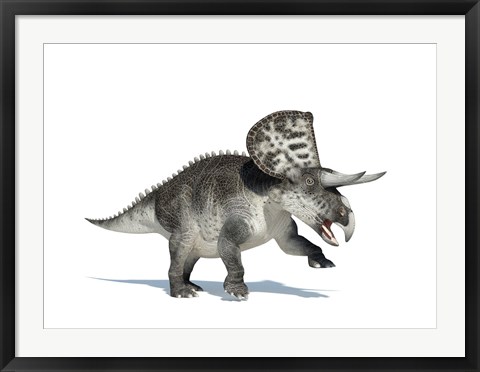 Framed 3D Rendering of a Zuniceratops Dinosaur Print